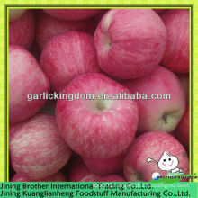red star apple low price